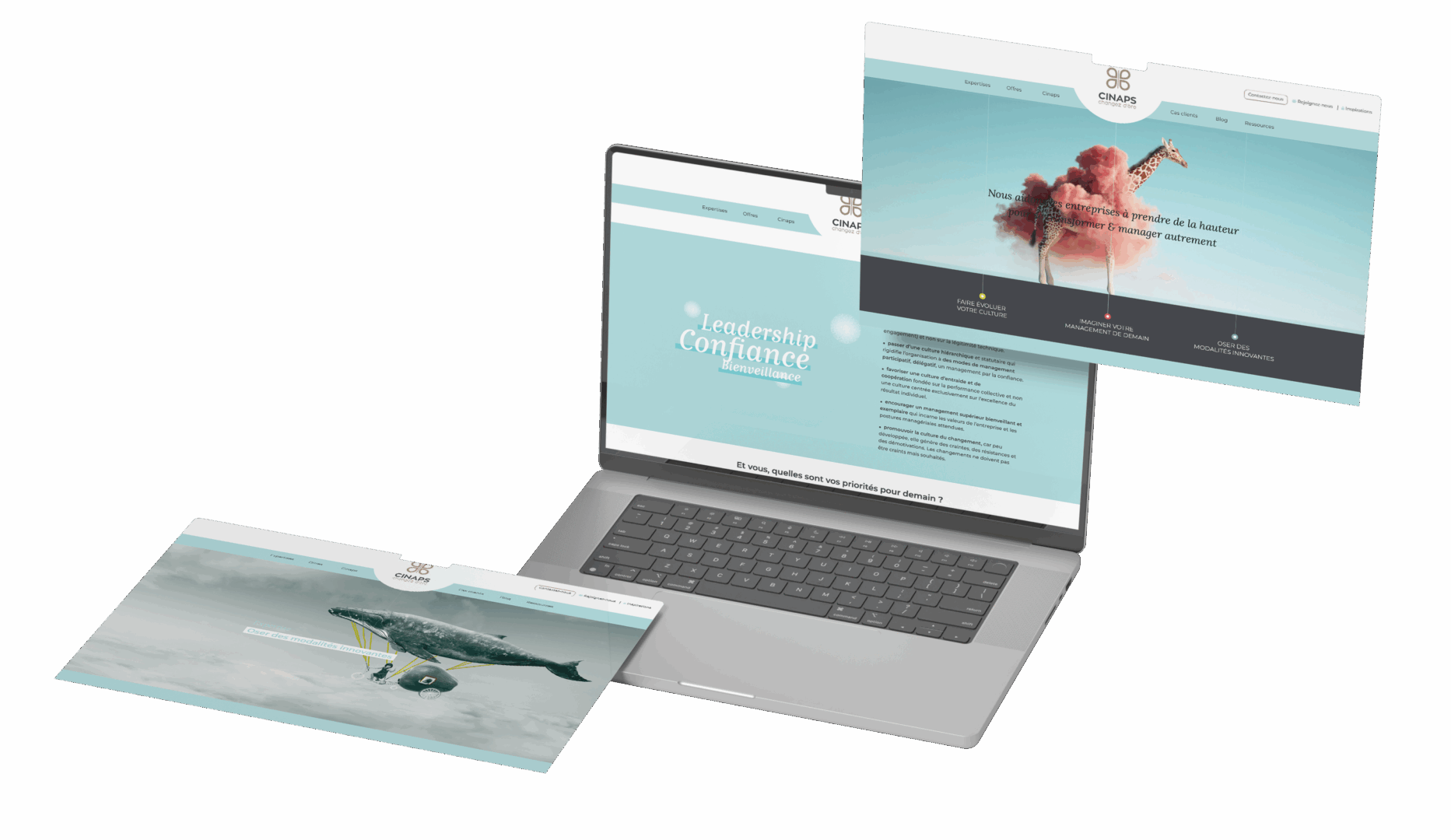 Site institutionnel Cinaps