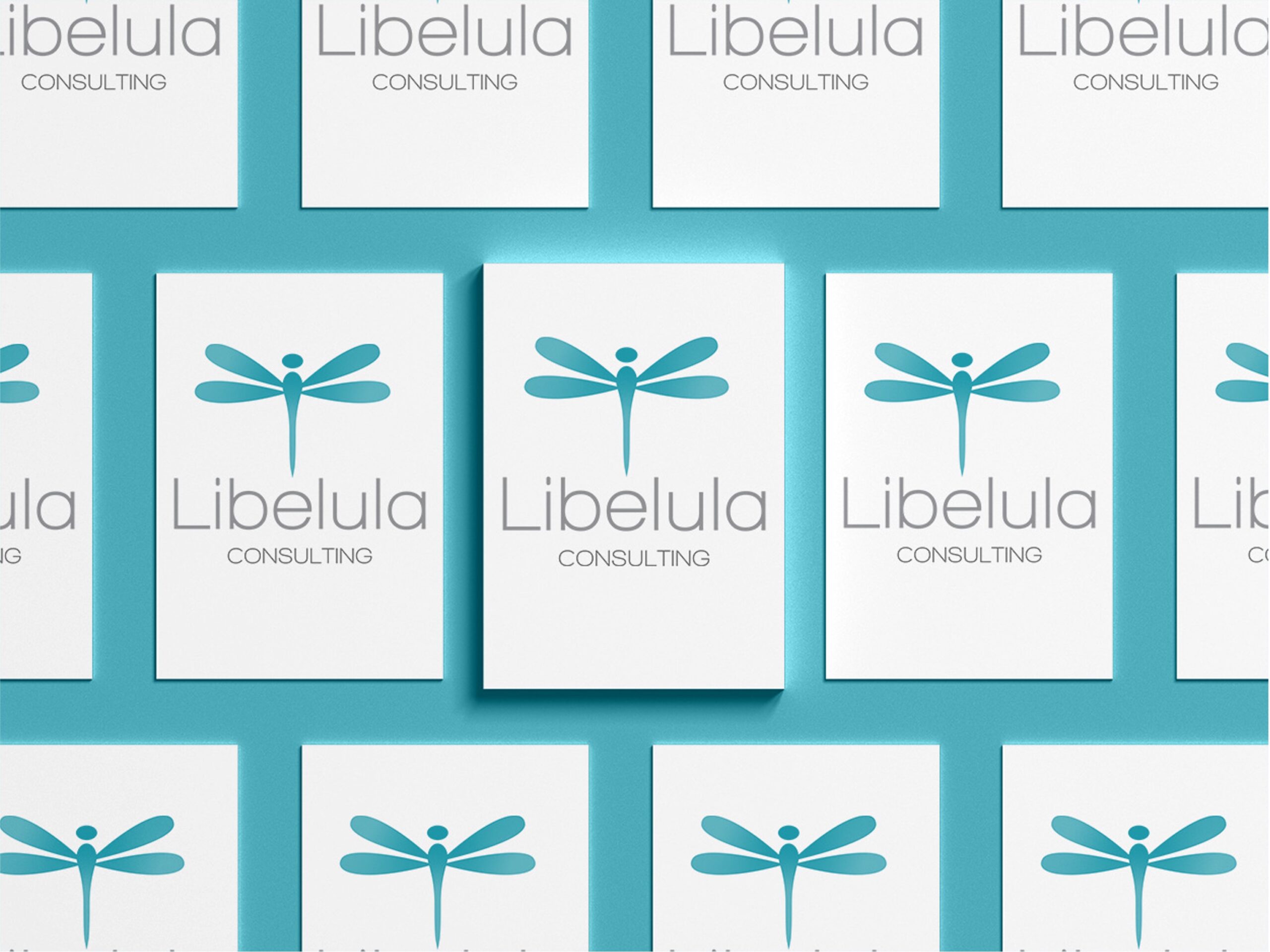 LIBELULA CONSULTING